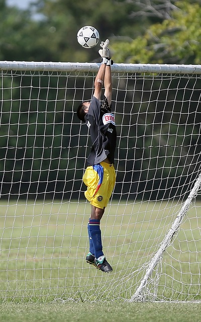 以期通过数 以期通过数