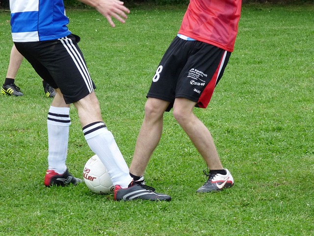 维尔达下课 维尔达下课